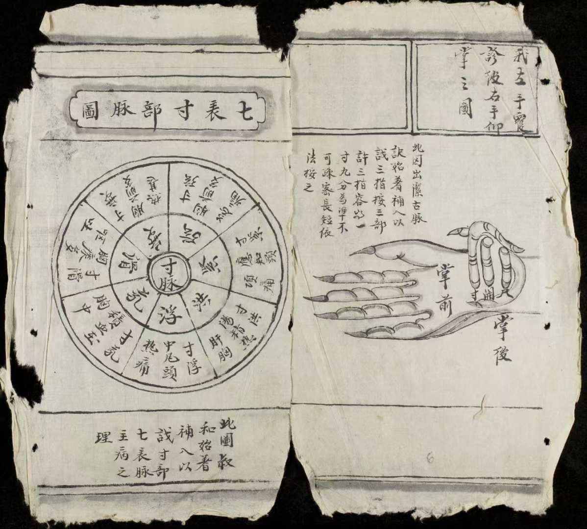 1752153266870.jpg