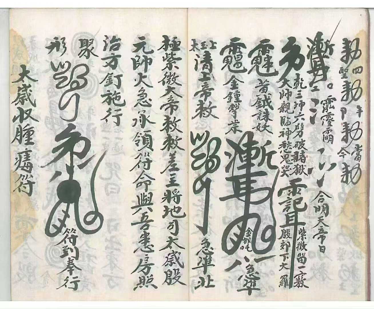 1752160662785.jpg