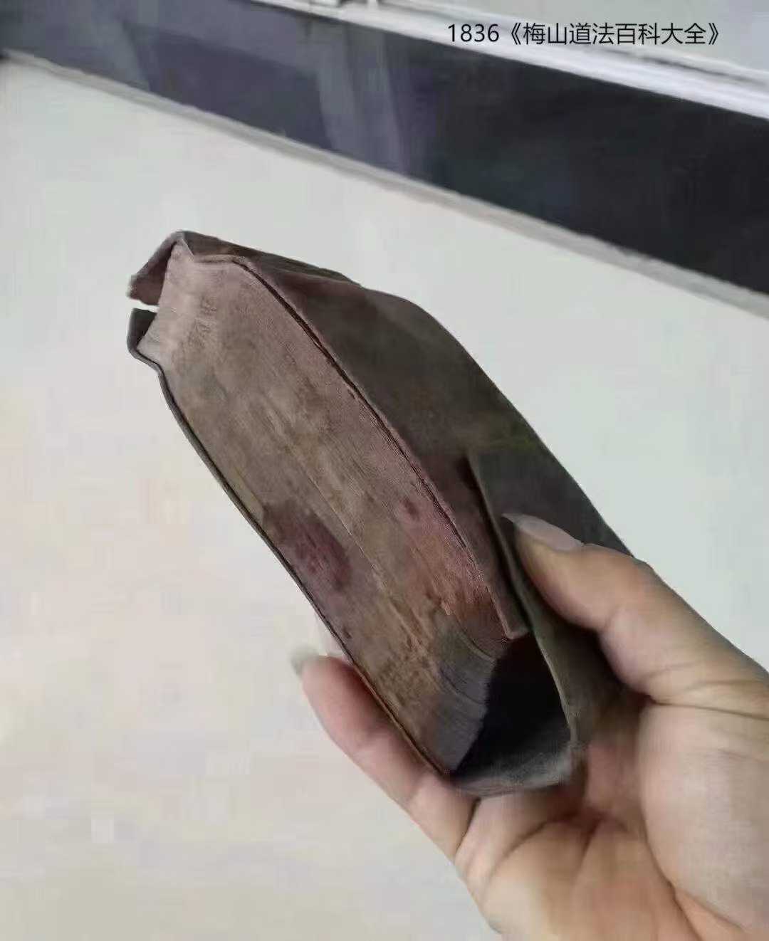 1753028324745.jpg