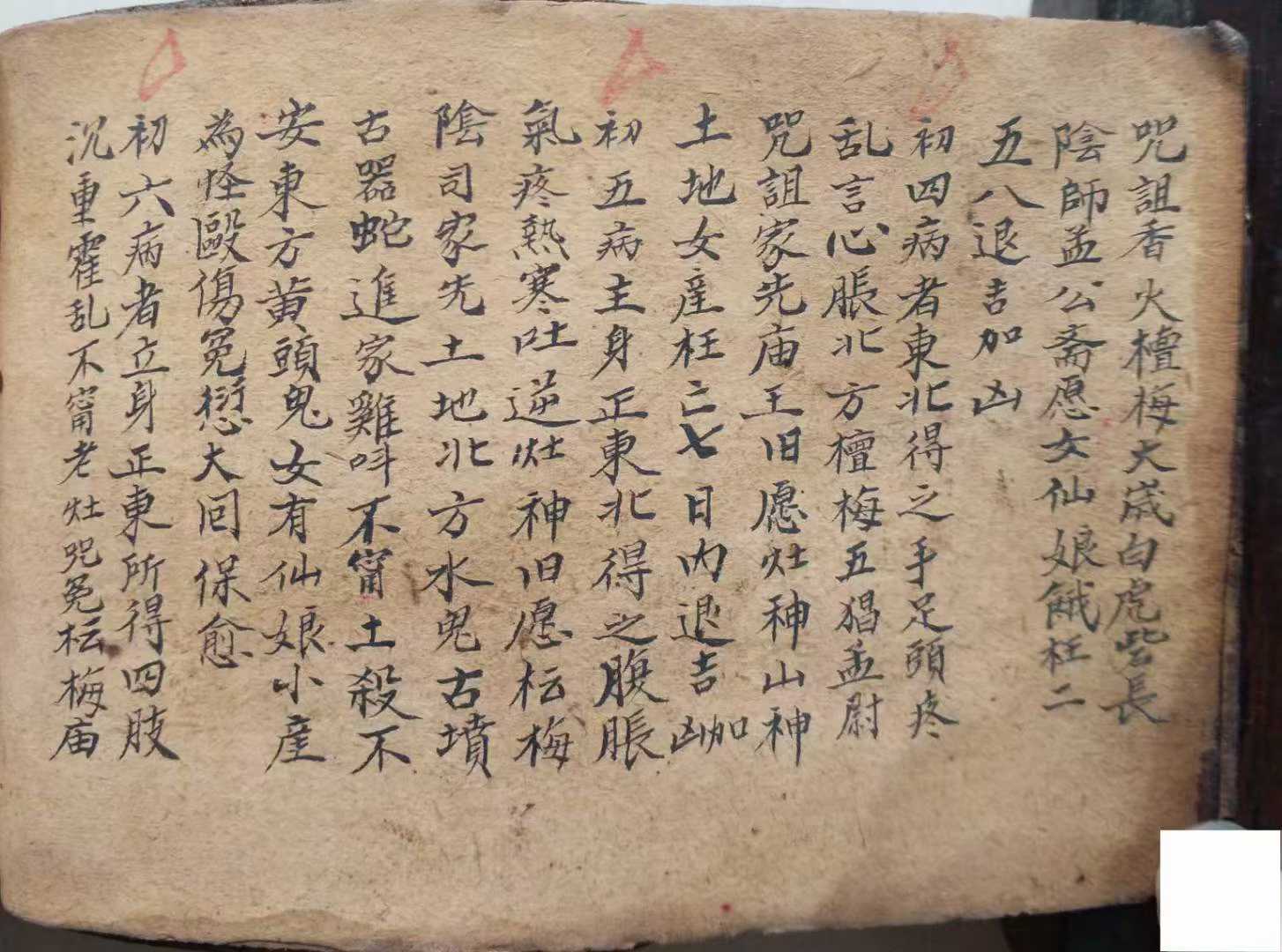 1753028329925.jpg