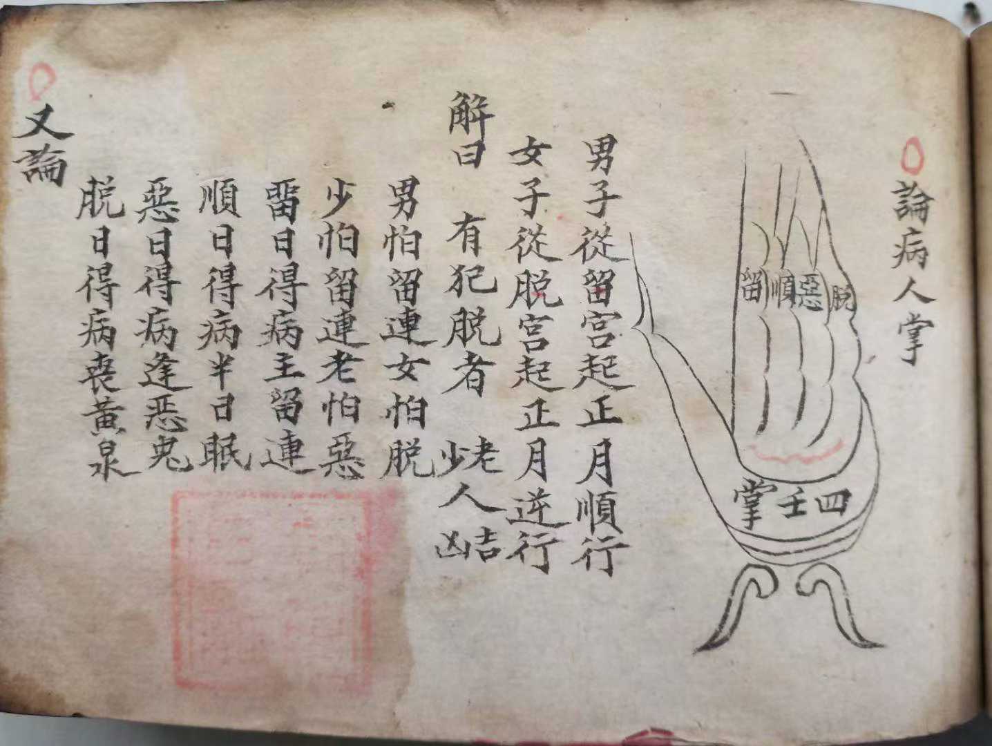 1753028333086.jpg