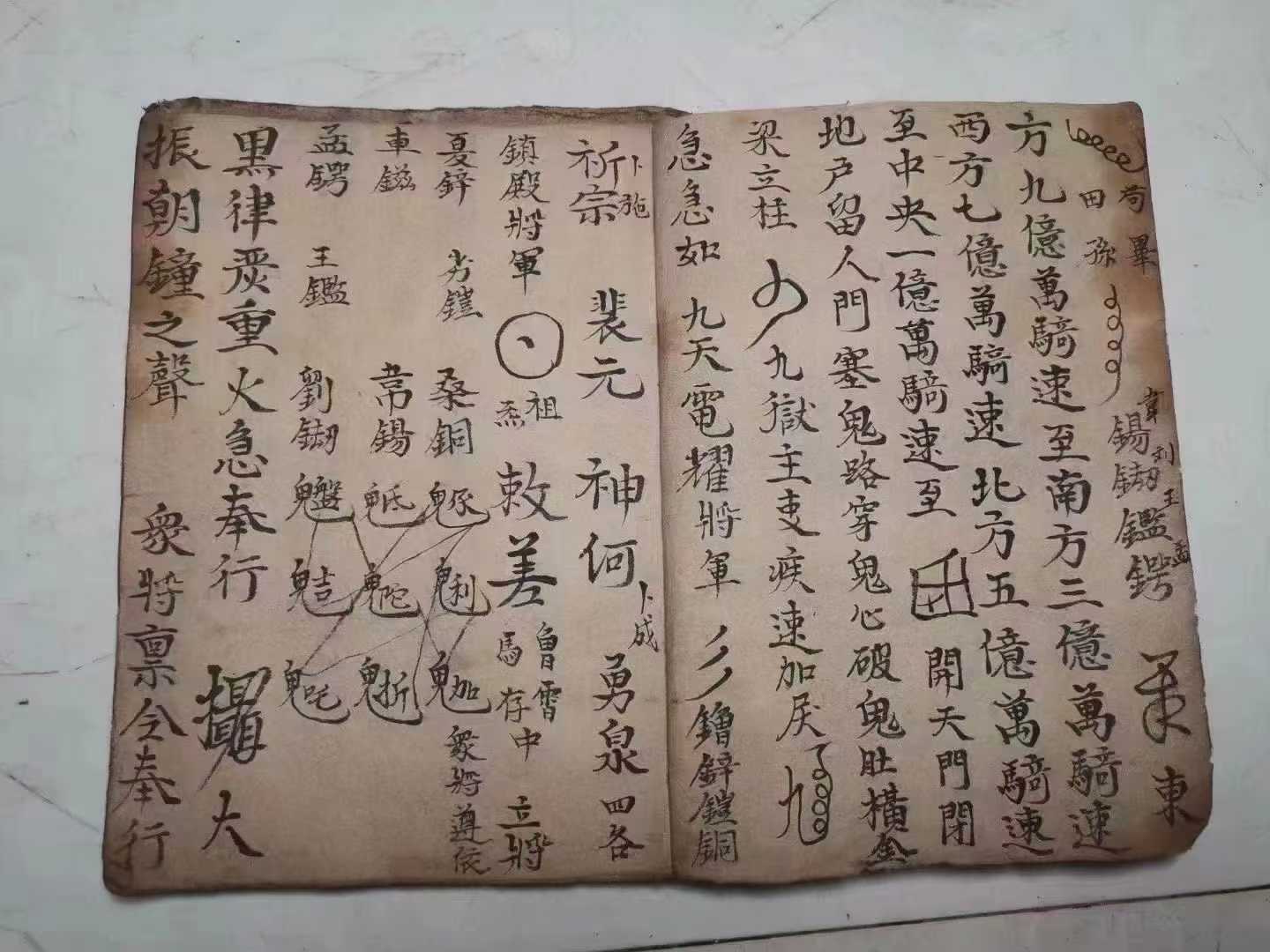 1753028470784.jpg