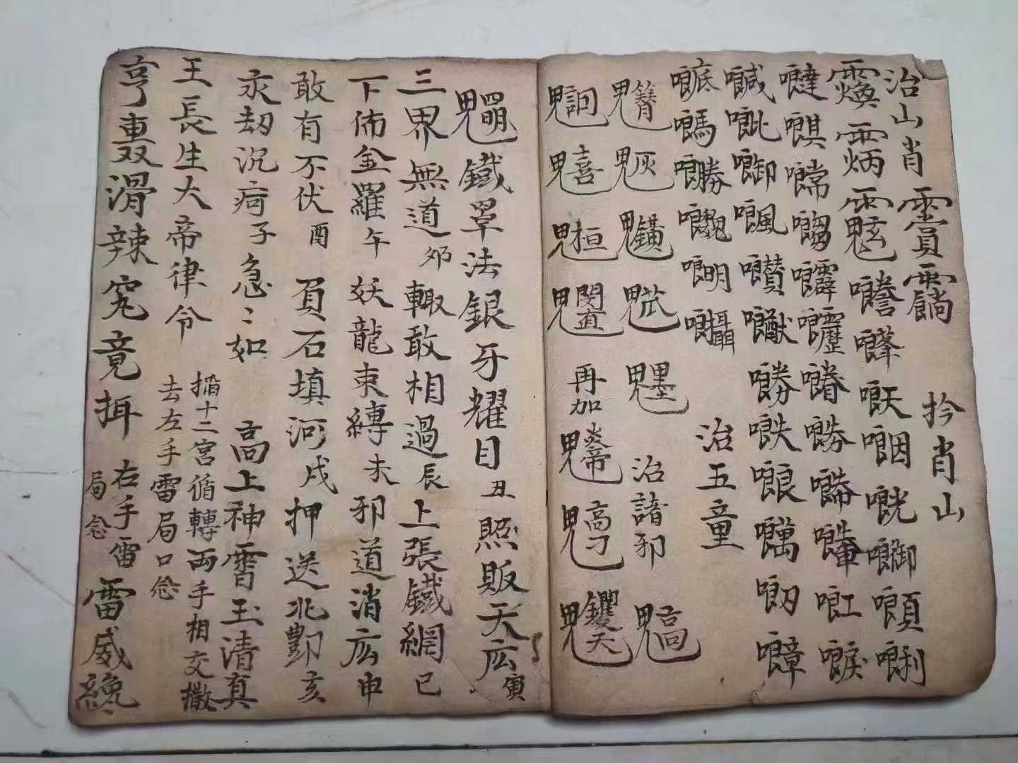 1753028474392.jpg