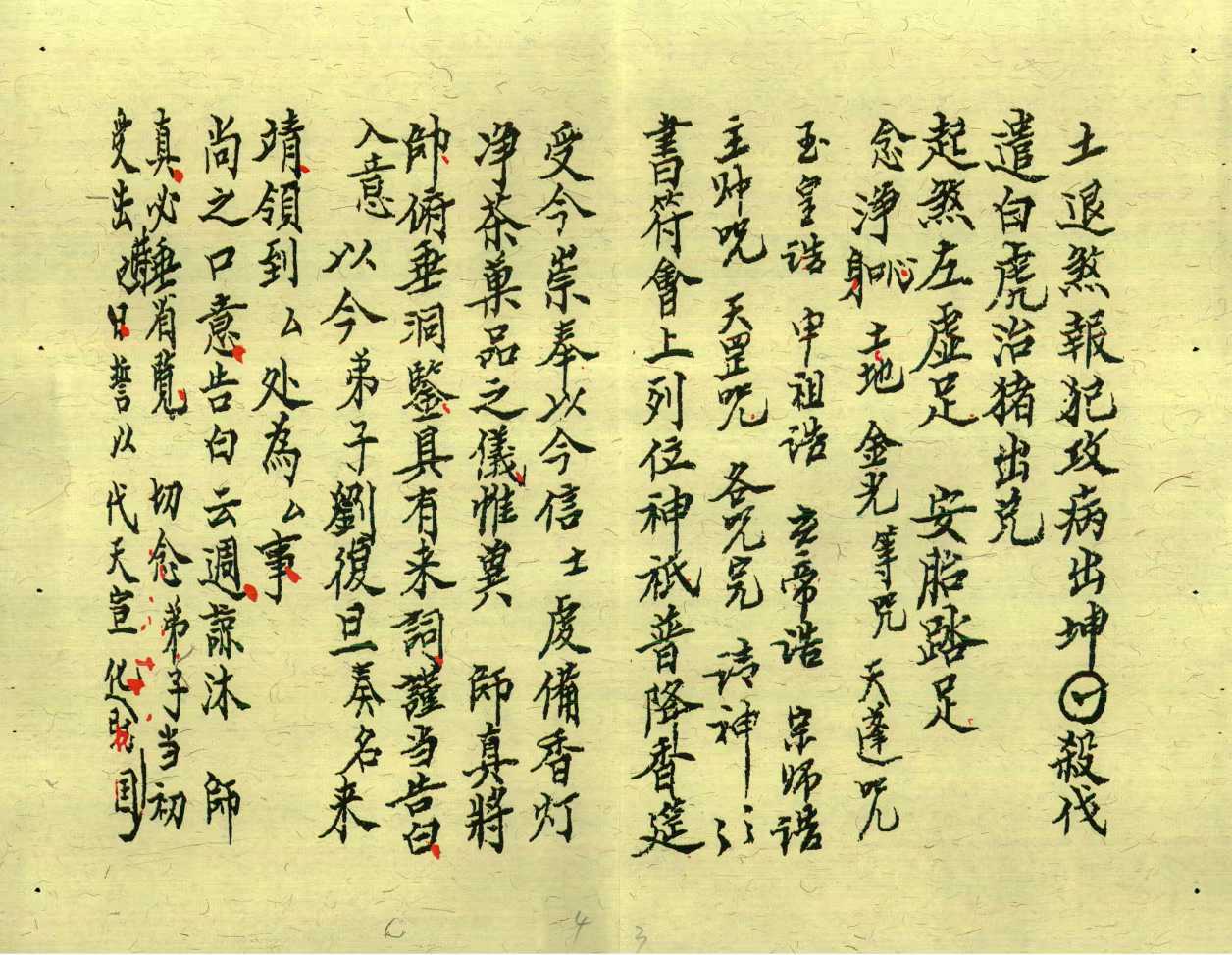 1753028636873.jpg