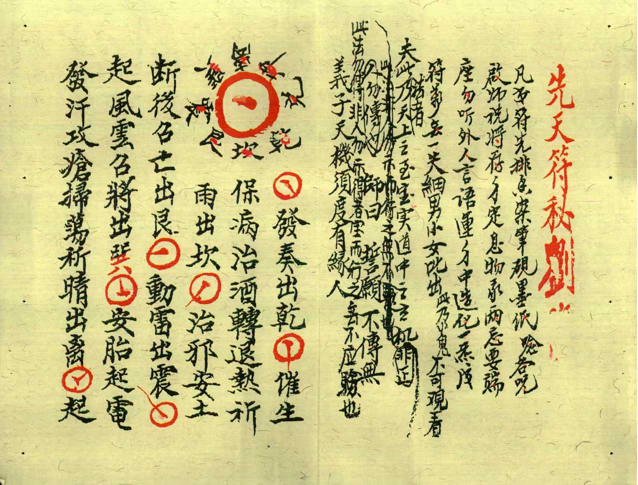 1753028634159.jpg