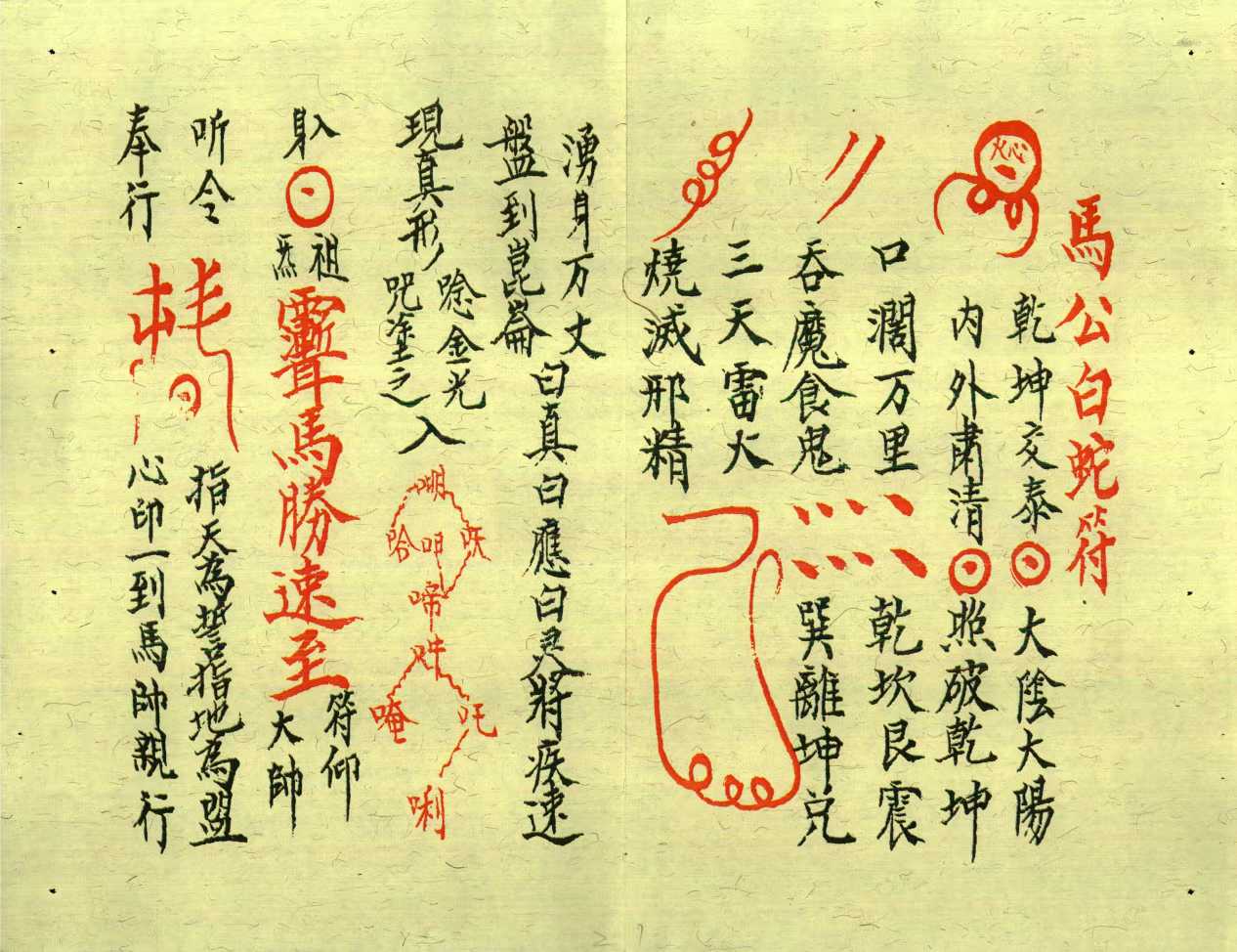 1753028639304.jpg