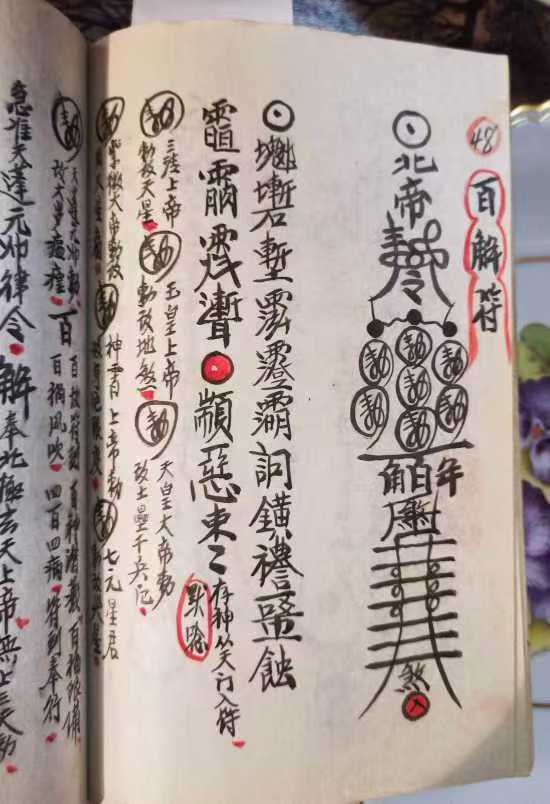 1753029688430.jpg