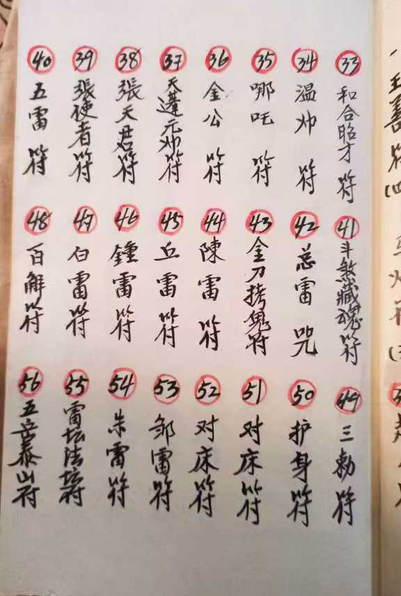 1753029682430.jpg