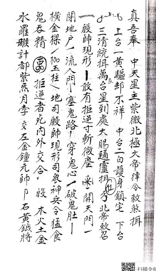 1753126181567.jpg