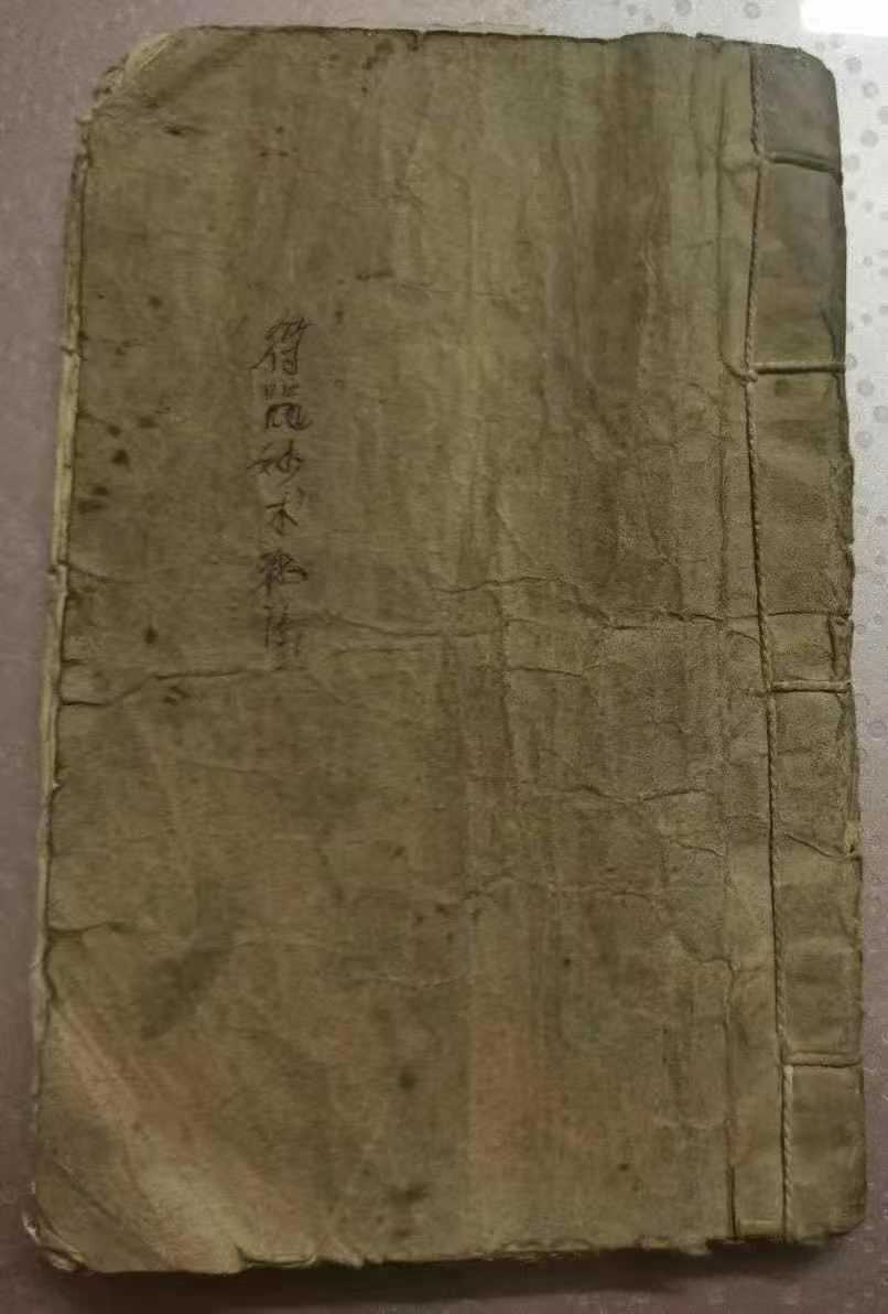 1753126842405.jpg