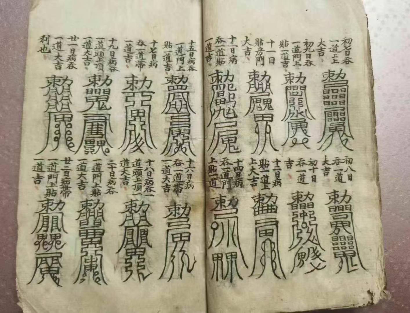 1753126861451.jpg