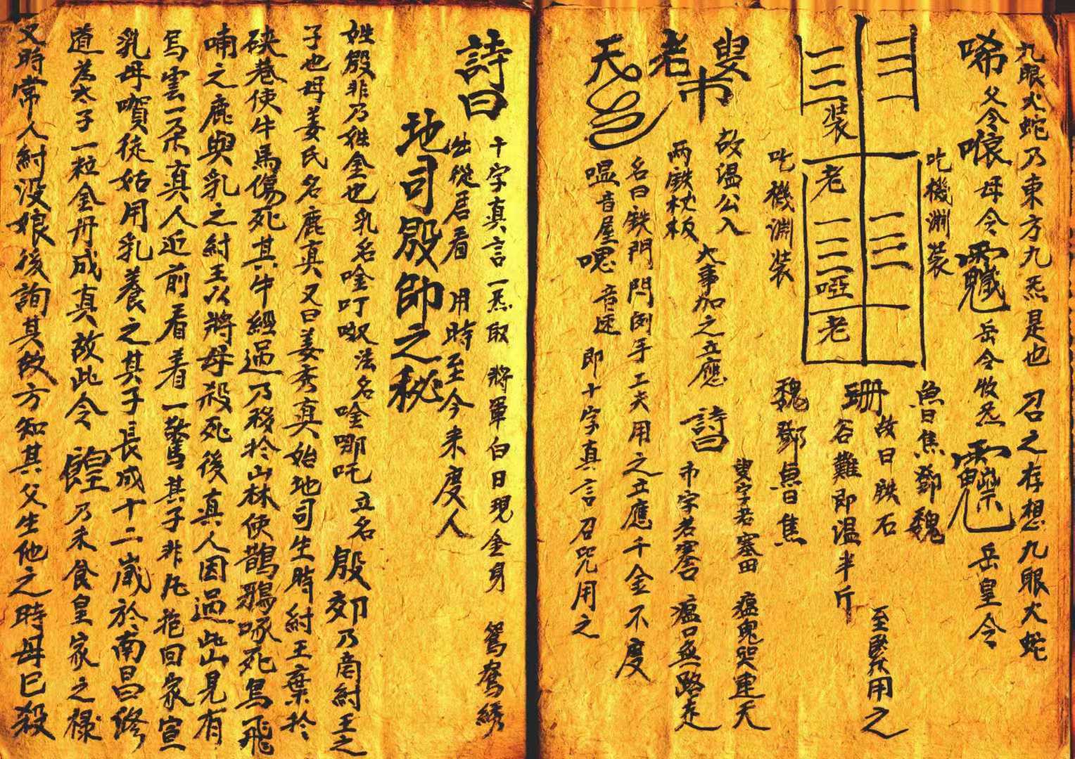 1753127474431.jpg
