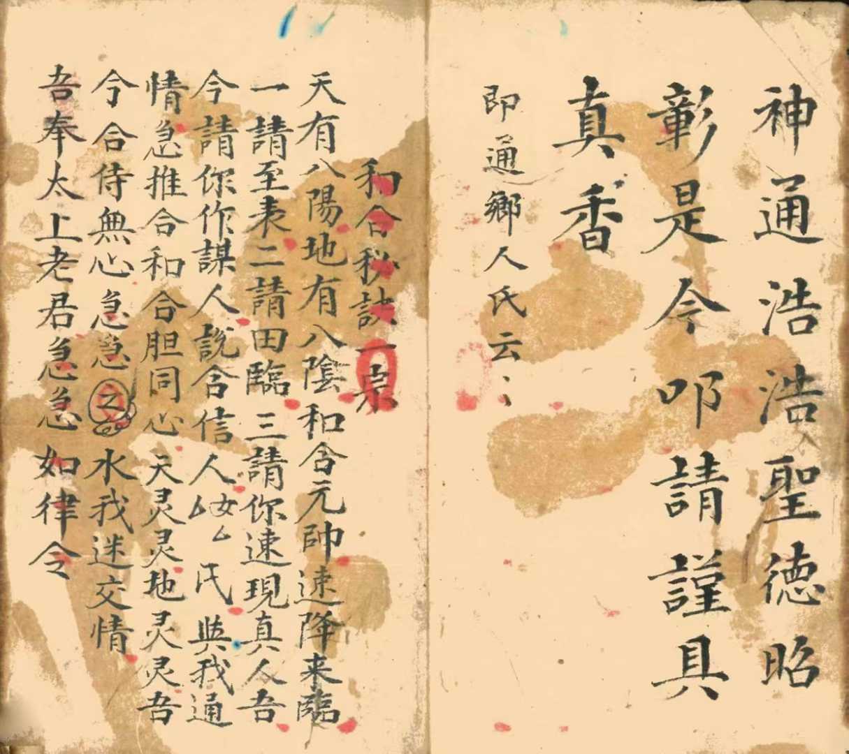 1753497244800.jpg