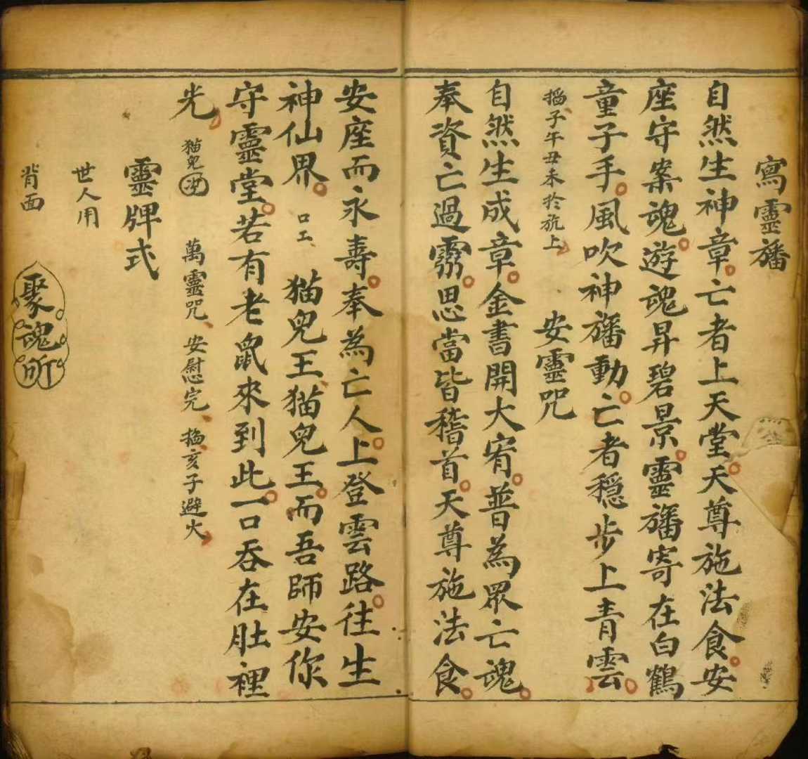 1753806495031.jpg