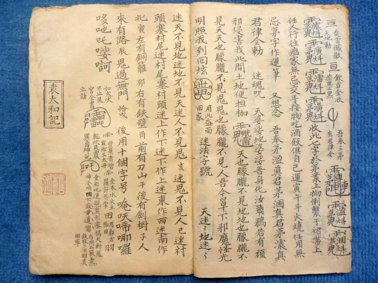 1754242974898.jpg