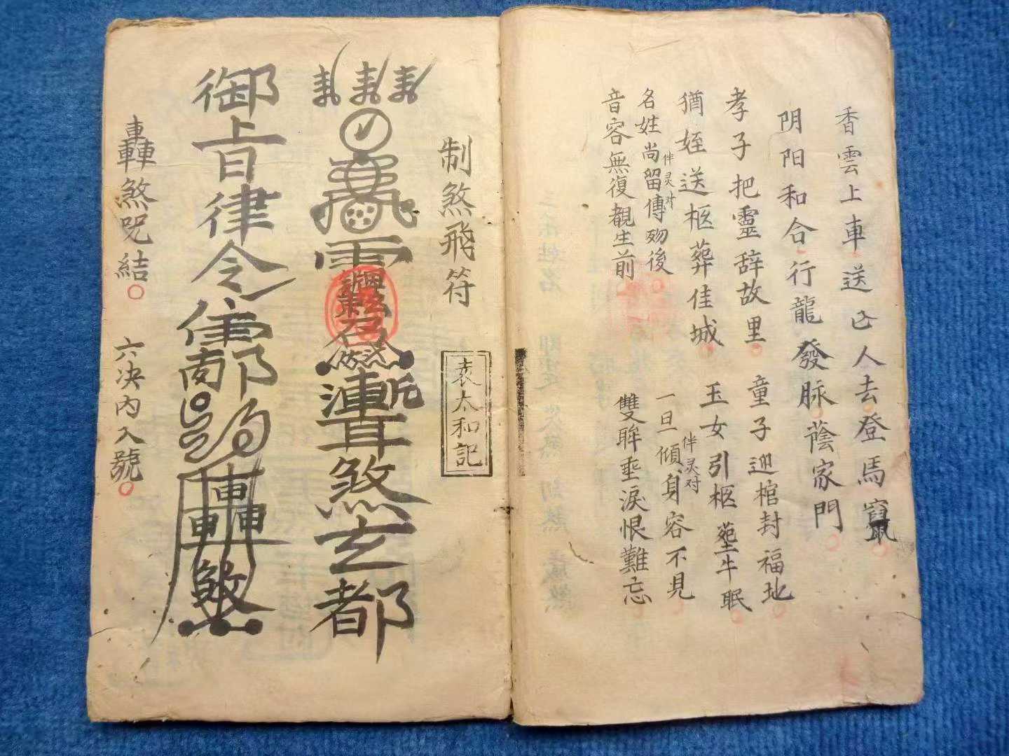 1754242980869.jpg