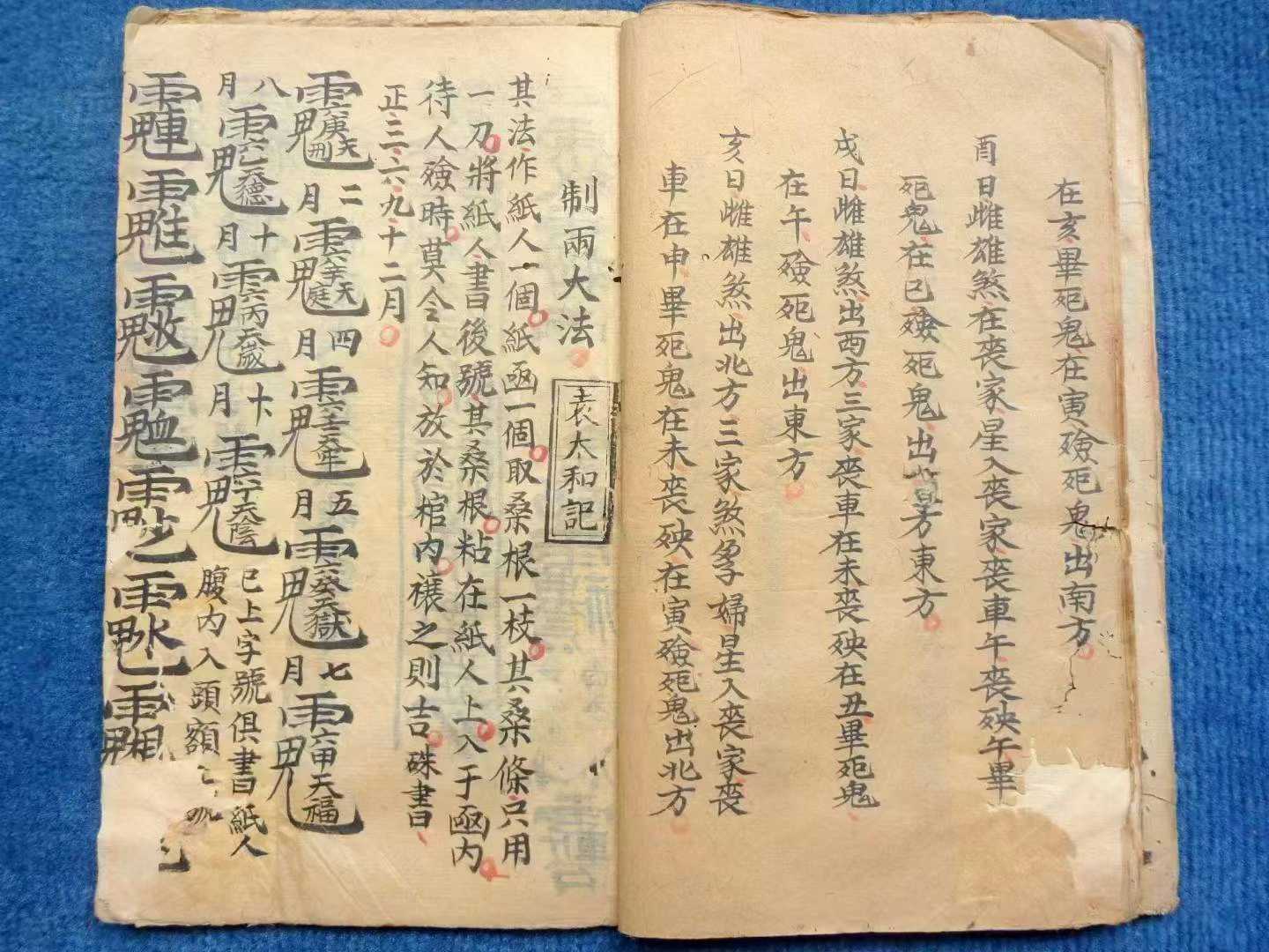 1754242983885.jpg