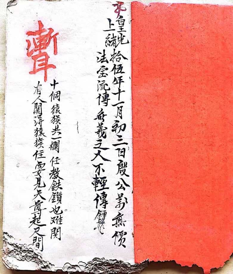 1754505433279.jpg