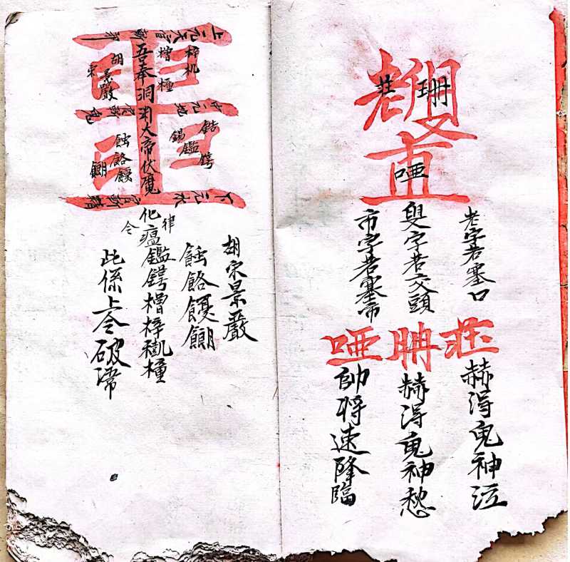 1754505435093.jpg