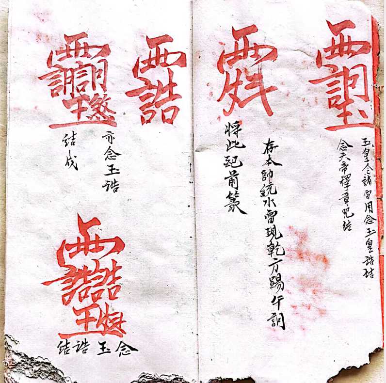 1754505440031.jpg
