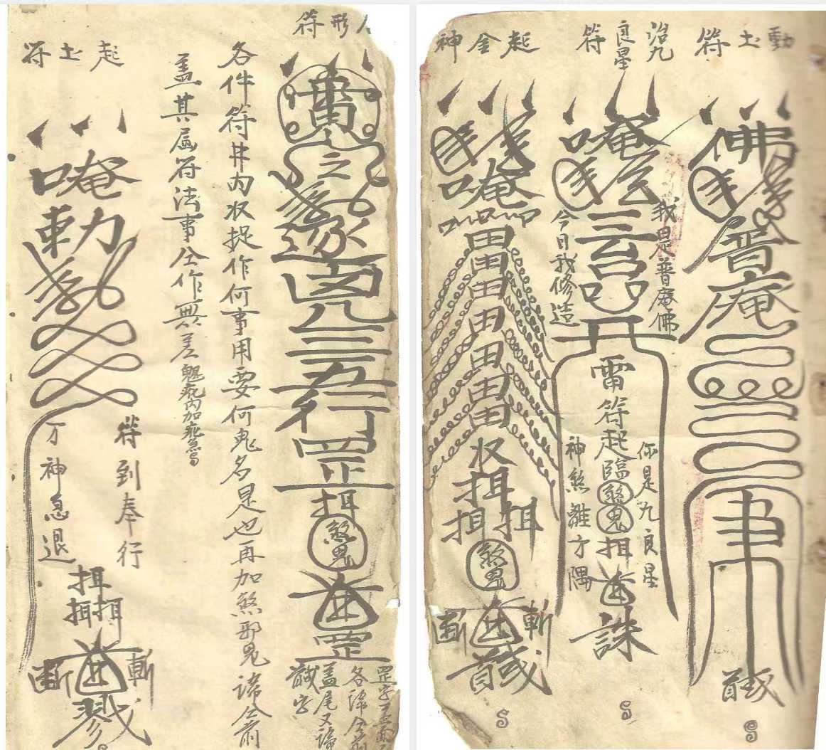 1755006110573.jpg