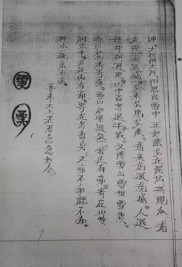 1755435217357.jpg