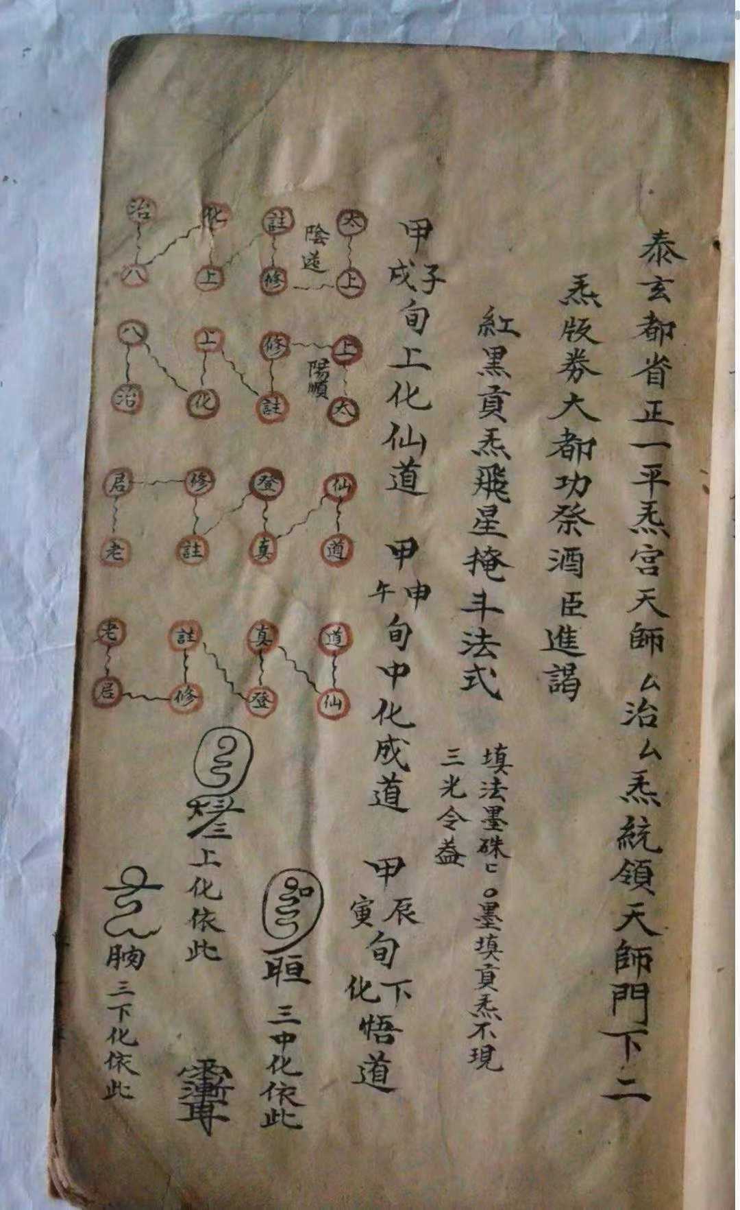 1755436588975.jpg