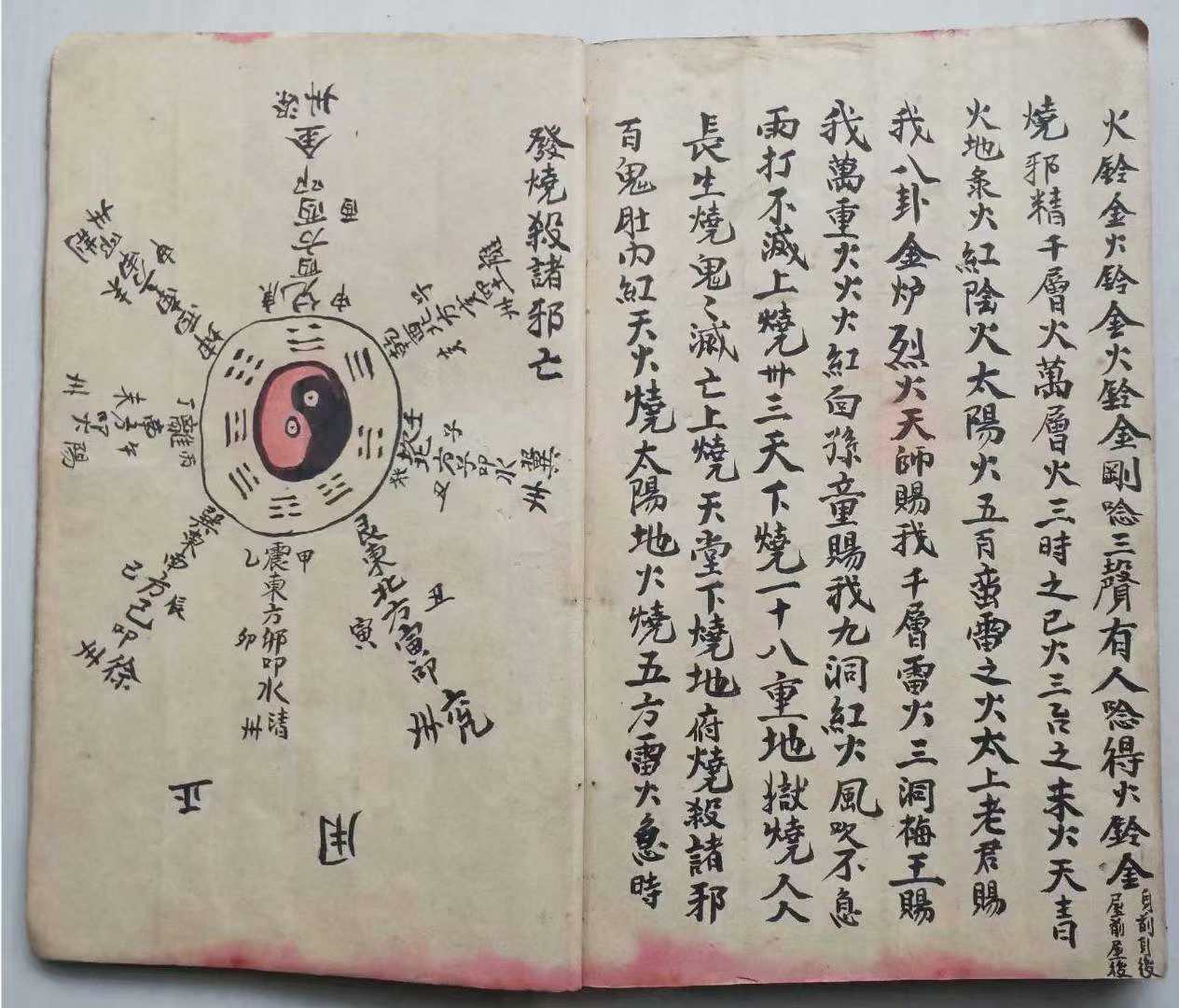 1755537242762.jpg