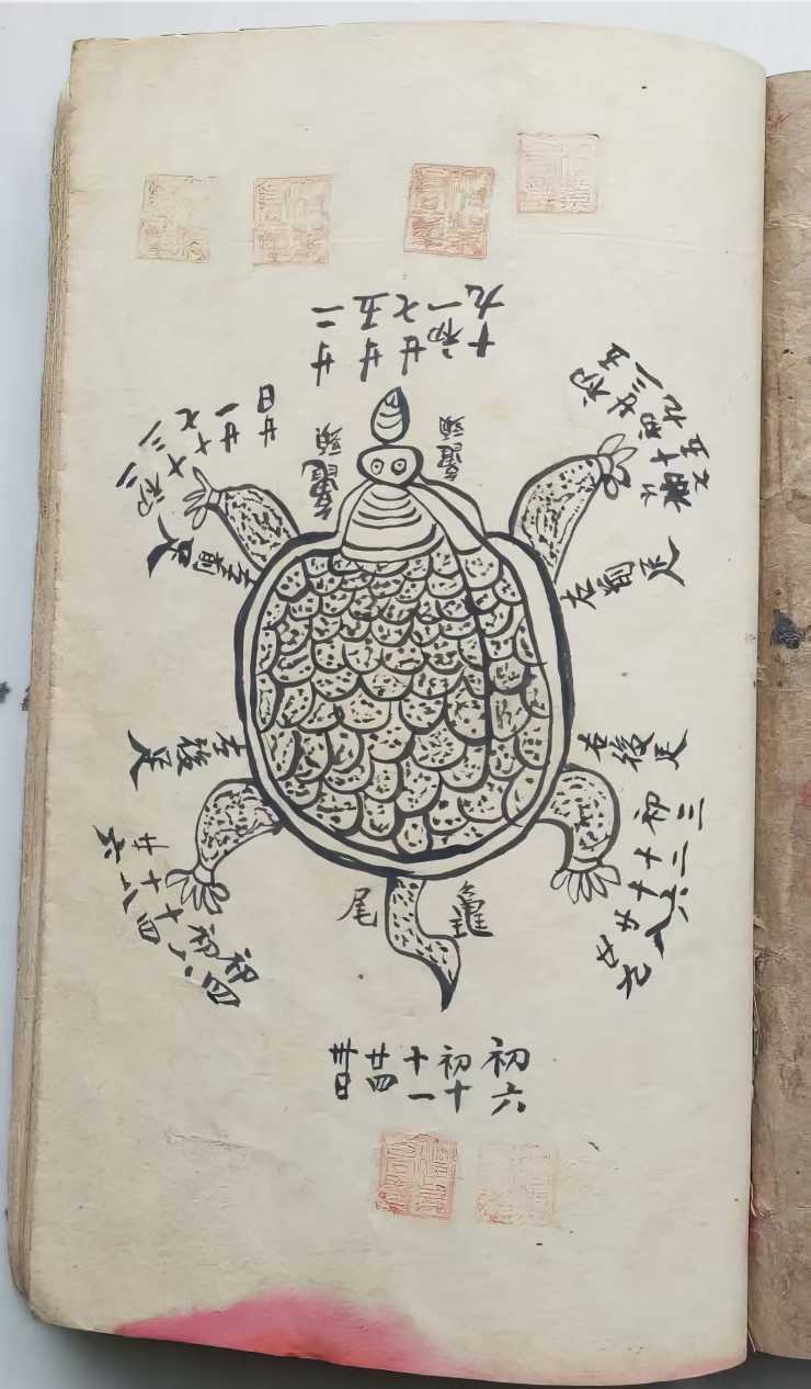 1755537240211.jpg