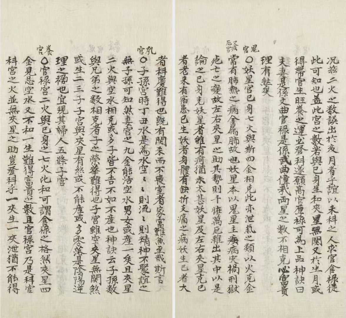 1755616900194.jpg