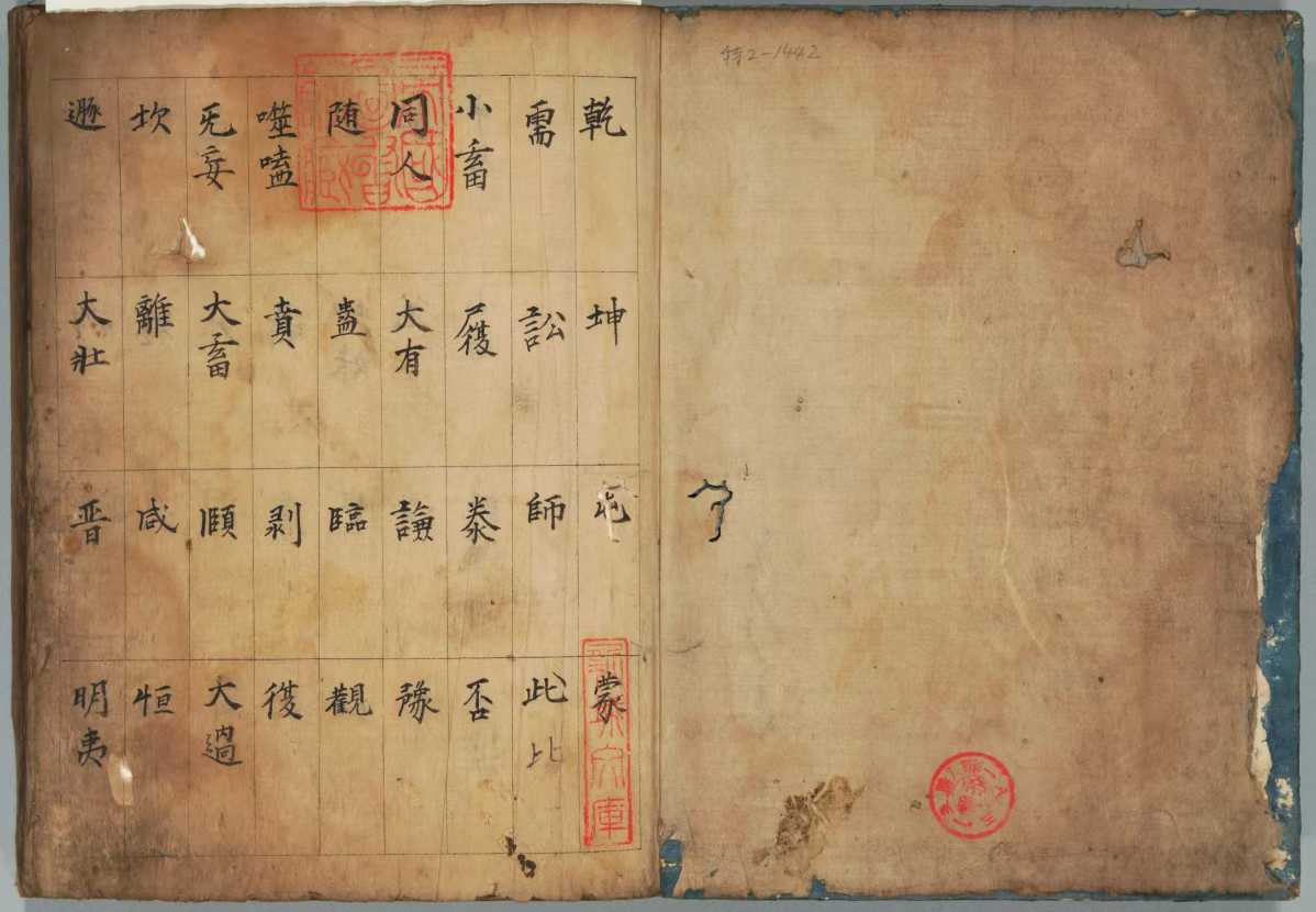 1755617085896.jpg