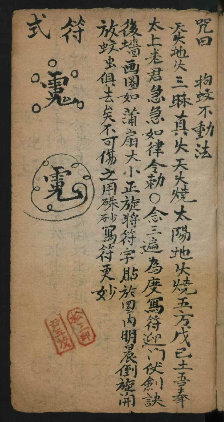1756040519690.jpg