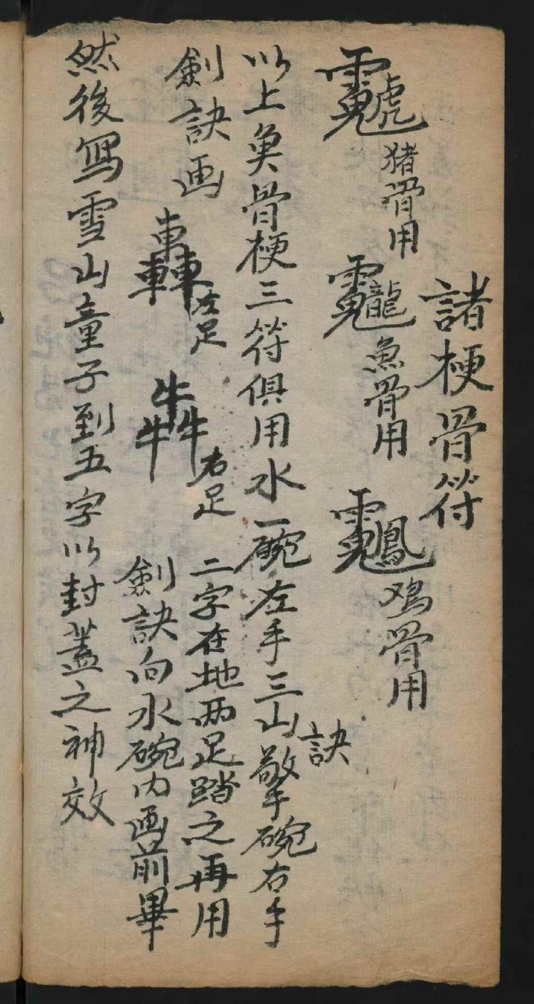 1756040532933.jpg