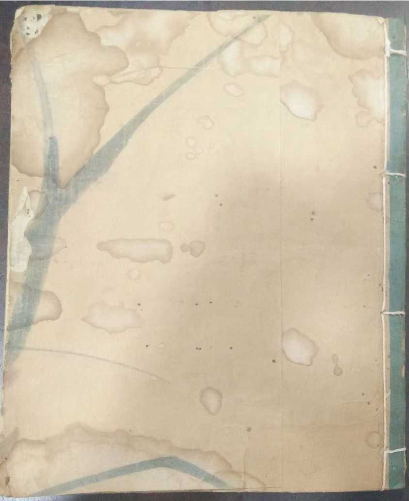 1756051357340.jpg