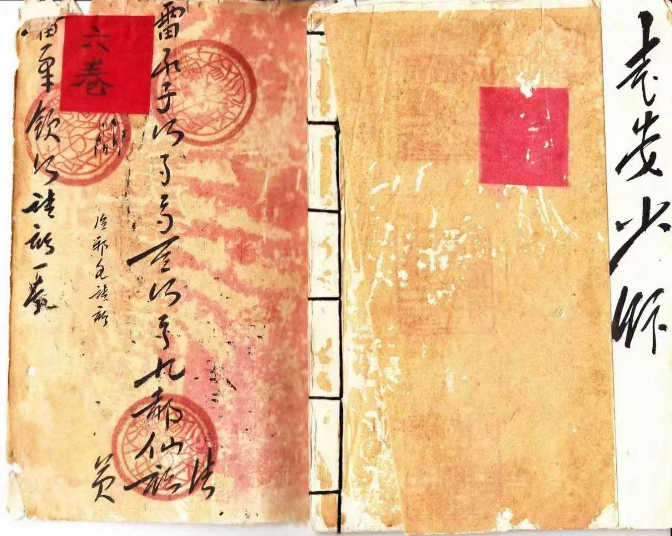 1756052152189.jpg