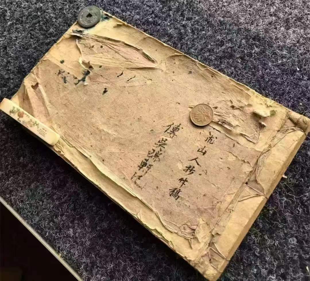 1756825383789.jpg