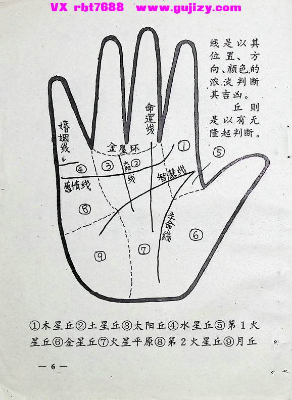 1 (3).jpg