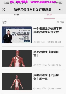 王奇岩---脑梗后遗症与并发症康复篇价值15800元视频课程💰5