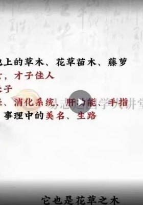 张丰麟《古法天星风水》23集￥5