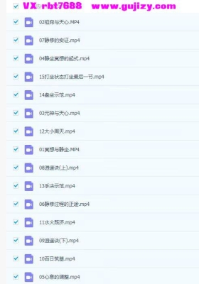 道家绝密 正念冥想 保姆级教程让你一个月脱胎换骨 视频15集💰5