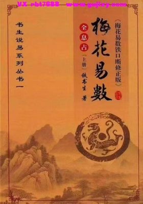 铁书生全息占《梅花易数铁口断修正版》上下两册💰5
