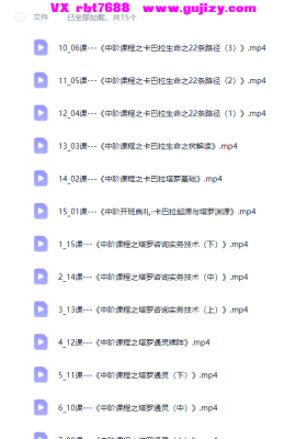 塔罗心灵疗愈师初阶+中阶+高阶视频33集💰5