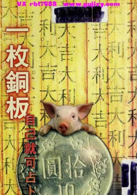 《一枚铜板自己就可以占卜》💰5