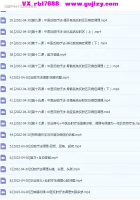 柳才久反射疗法-实战班44集视频💰5