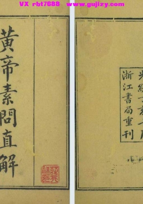 《黄帝素问直解》💰6