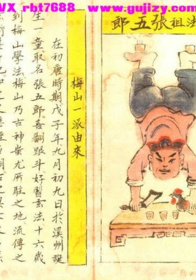 梅山道医秘诀《梅山道医秘本》💰6