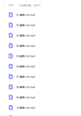 庄卜第三期睿雪六爻 22集视频课💰5