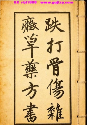 《跌打骨伤杂症单药方书》💰5