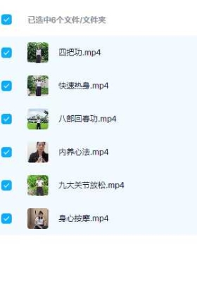 玄玑极简内养功法6集视频课 💰5