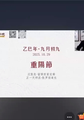 罗恒道长带你看懂童子命的前世今生上下 两集视频💰5